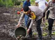 Kapolda Sulbar Lepas Ribuan Benih Kepiting, Dorong Ketahanan Pangan dan Lestarikan Ekosistem Laut