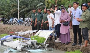 Wabup Pasangkayu Dr. Herny Tinjau Uji Coba Rice Transplanter, Dorong Ketahanan Pangan Berbasis Teknologi