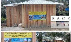 Masyarakat Towiora Gelar Syukuran di Atas Lahan Sengketa dengan PT LTT