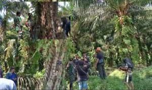 Aliansi Masyarakat Towiora Bersatu Pertanyakan Kehadiran Aparat di Lokasi Sengketa