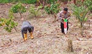 Dukung Ketahanan Pangan Nasional, Bhabinkamtibmas Bambalamotu Turun Langsung Tanam Jagung Bersama Warga