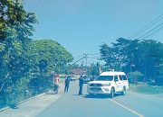 Jaringan Listrik PLN Jatuh di Jalan Ir Soekarno, Lalu Lintas Pasangkayu Sempat Tersendat