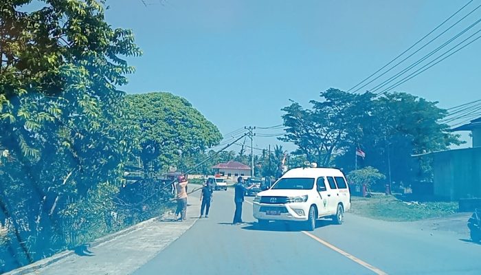 Jaringan Listrik PLN Jatuh di Jalan Ir Soekarno, Lalu Lintas Pasangkayu Sempat Tersendat