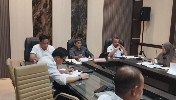 Sekda Moh. Zain Machmoed Paparkan Kondisi Keuangan Pasangkayu dalam KUA-PPAS 2027