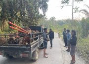 Pencurian Sawit di Bulutaba Digagalkan Polisi, 7 Terduga Pelaku Diamankan