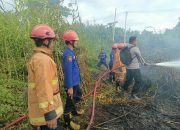 Api Lahap 5 Hektare Lahan Terbengkalai di Lariang, Polisi Turun Langsung Padamkan Kebakaran